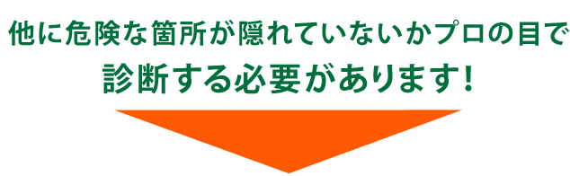 他に危険な箇所が隠れていないかプロの目で診断する必要があります！